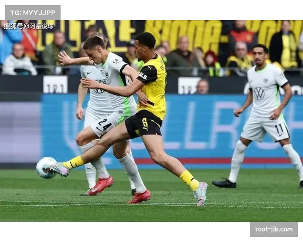 沃尔夫斯堡1-3霍芬海姆,主帅赛后道歉 沃尔夫斯堡1-3霍芬海姆,主帅赛后道歉