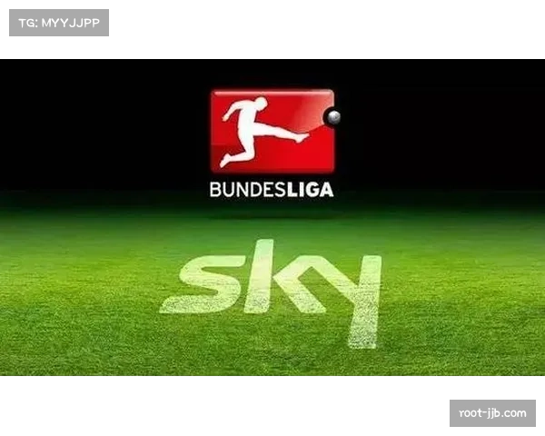 DFL报告：媒体版权收入成德国俱乐部重要经济支柱