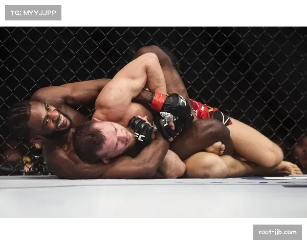 UFC 300新增关键对决：前冠军斯特林升重首秀对阵排名前十选手